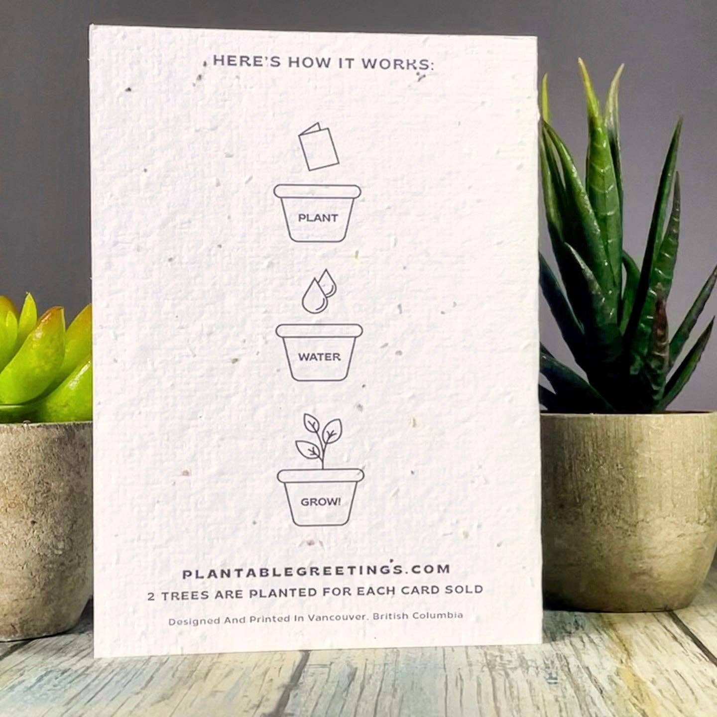 Thinking Of You Flower Plantable Greeting Card: Wildflowers