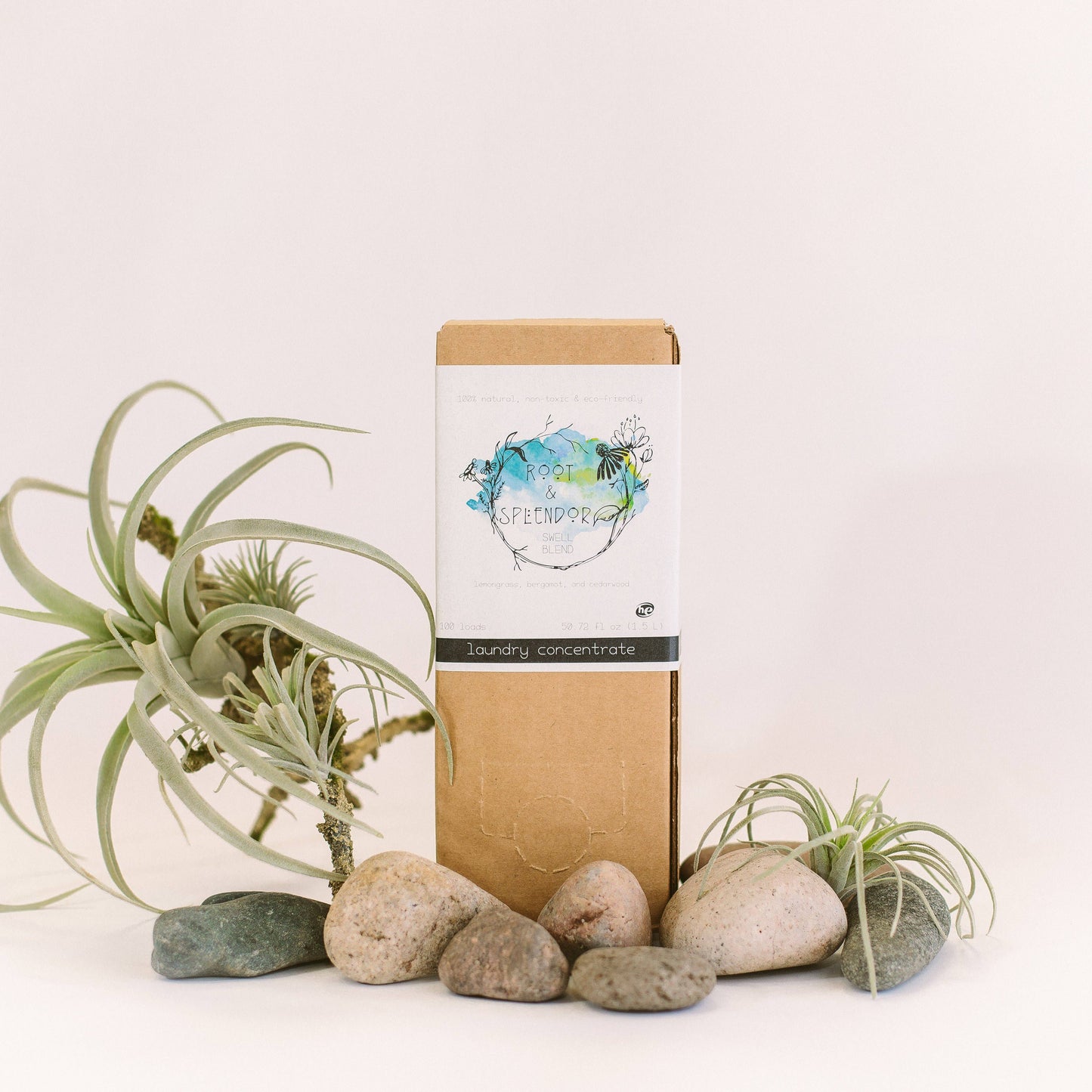 Laundry Soap Concentrate Box