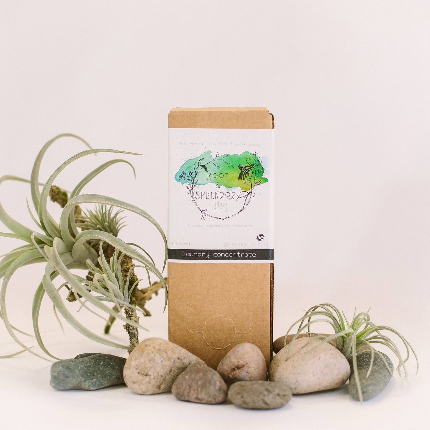 Laundry Soap Concentrate Box