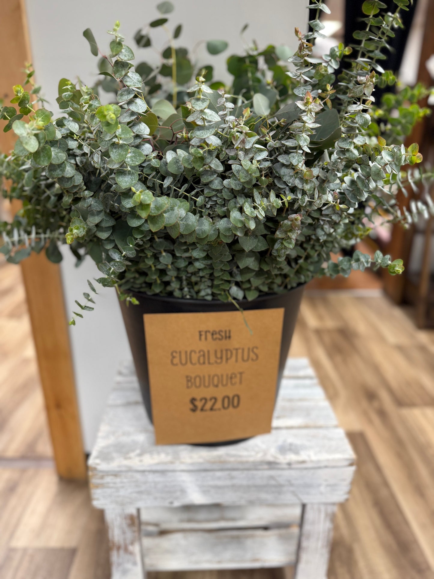 Eucalyptus
