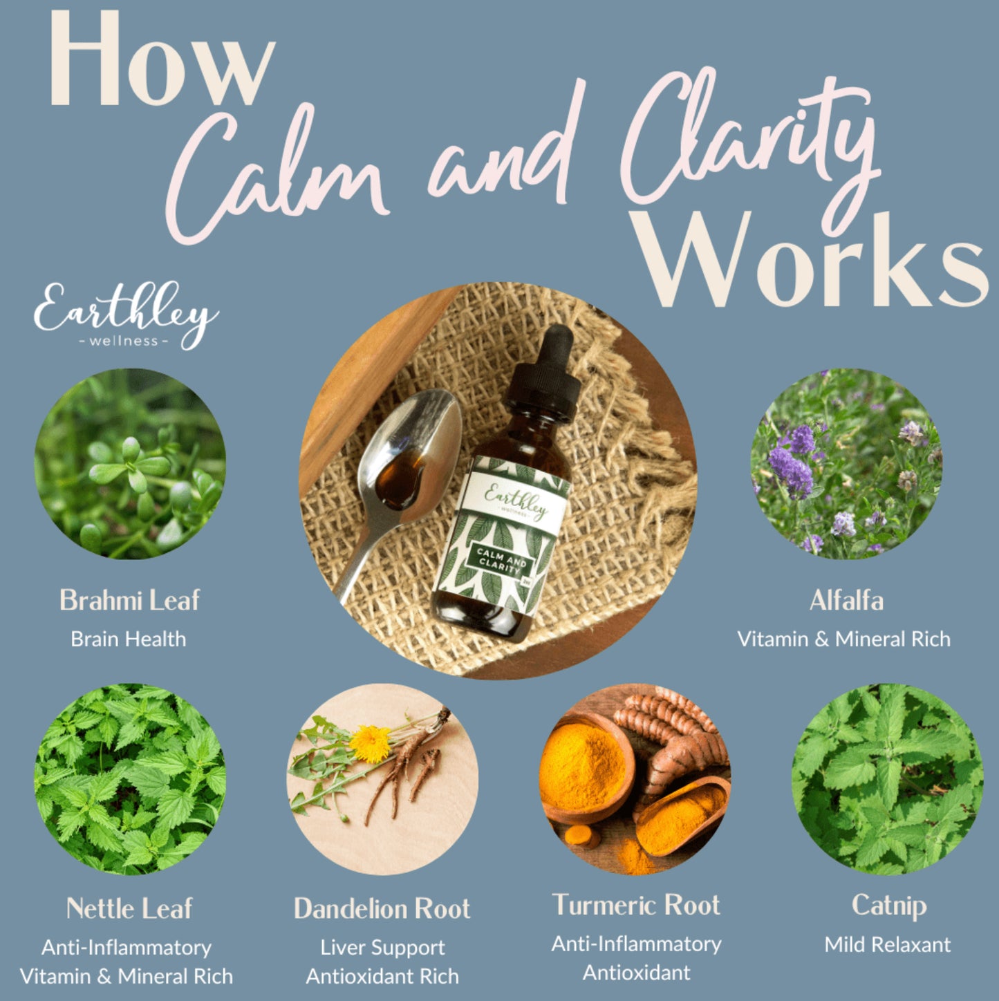 Calm & Clarity
