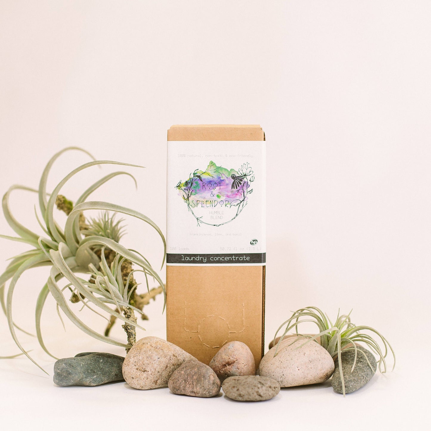 Laundry Soap Concentrate Box