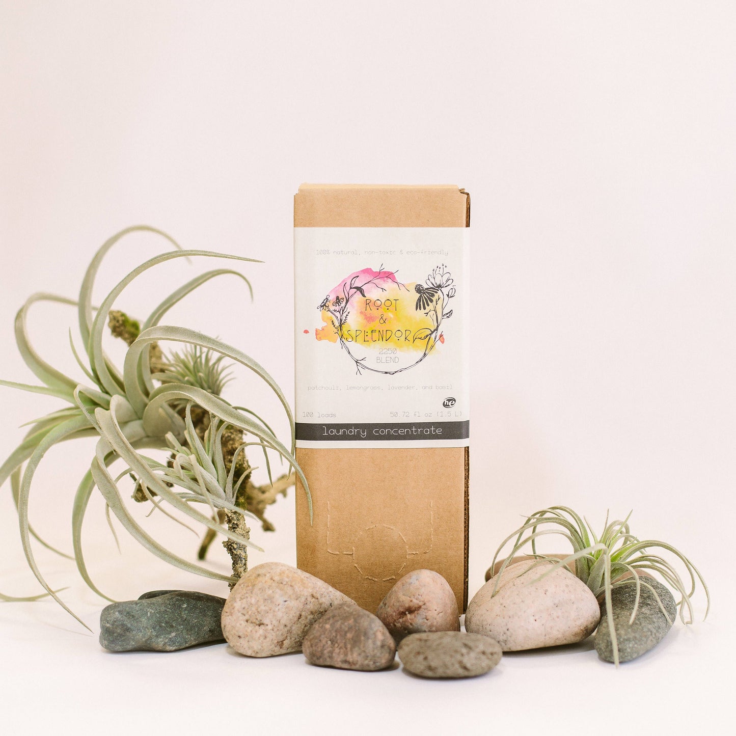 Laundry Soap Concentrate Box