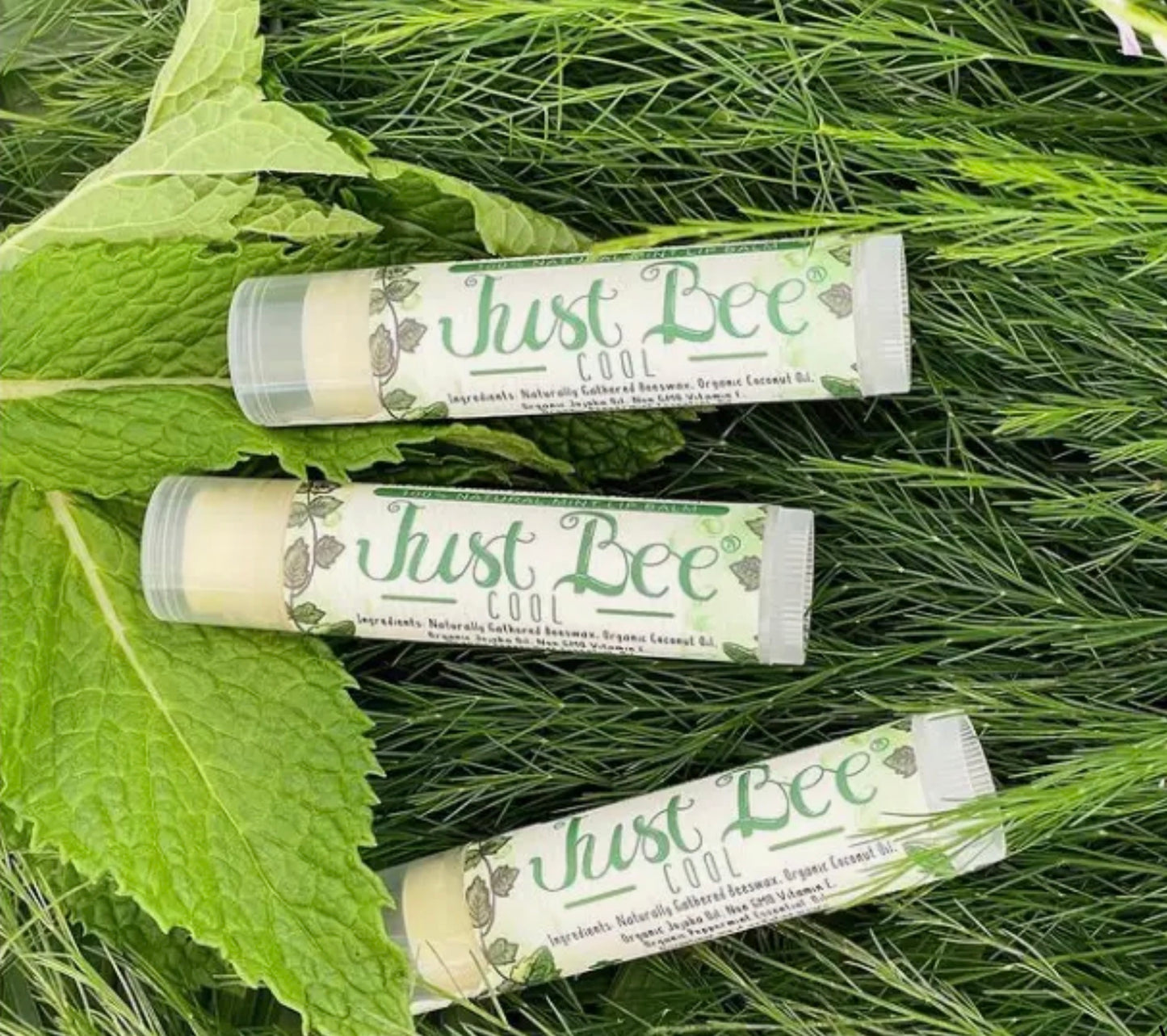 Lip Balm