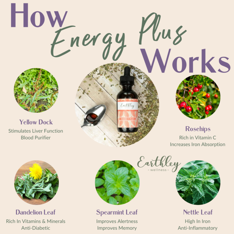 Energy Plus