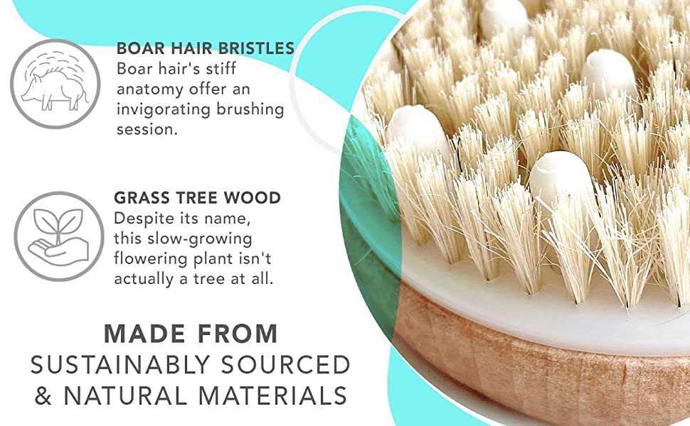 Dry Brushing Body Brush