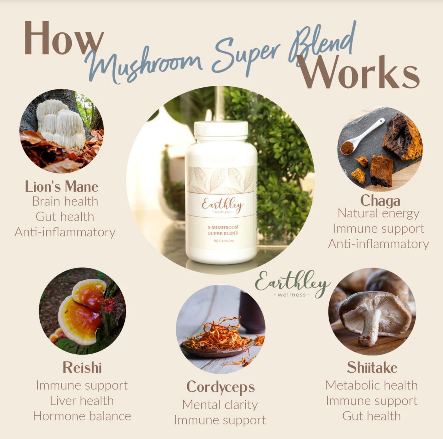 5-Mushroom Super Blend Powder