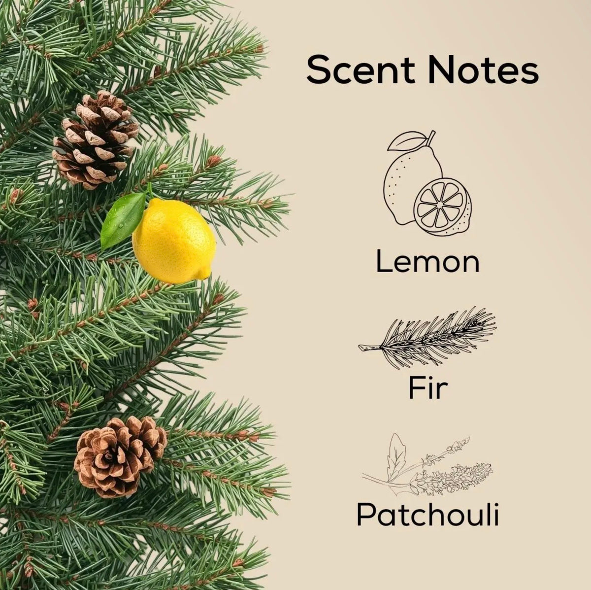 Fraser Fir & Balsam Pine Oil Warmer Refill
