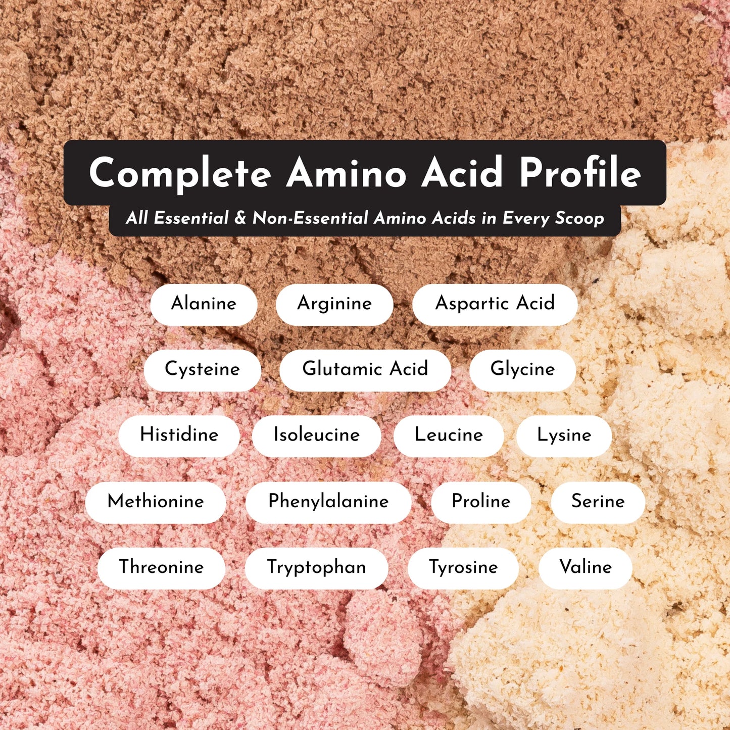Protein + Creatine