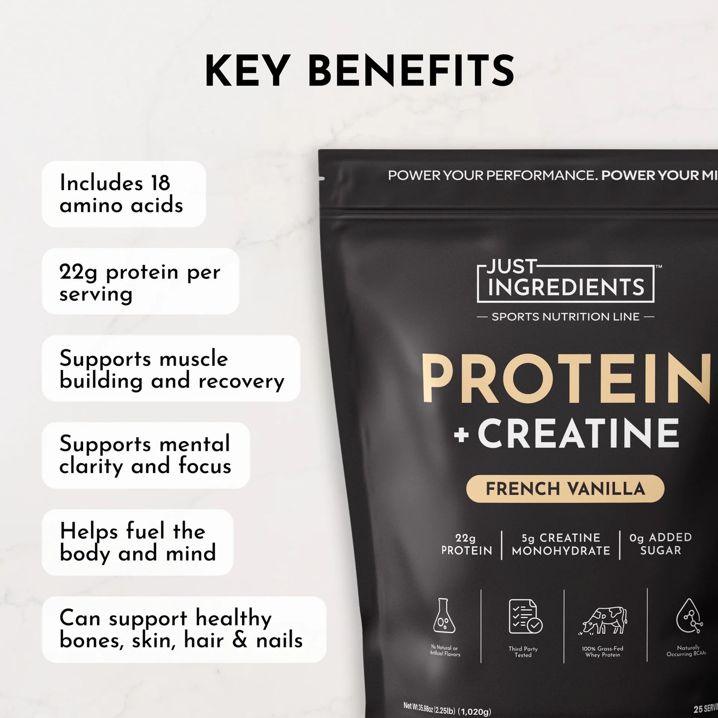Protein + Creatine