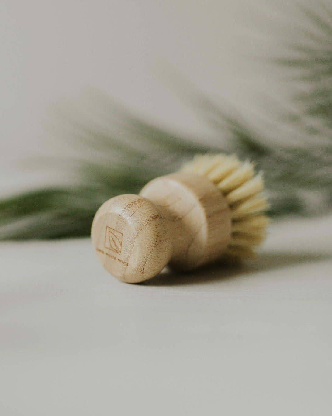 Bamboo Pot Brush | Sisal Fibre Palm Dish Brush